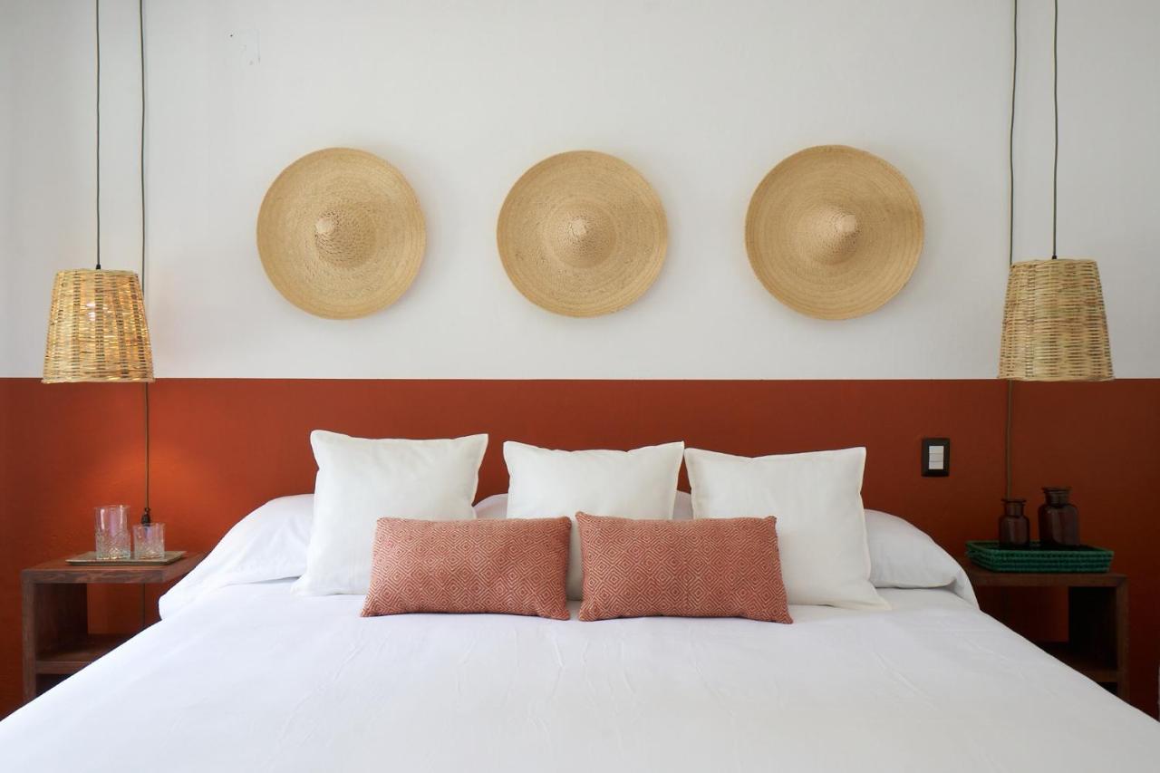 Amazinn Places Casa Coyoacan Мехіко Екстер'єр фото